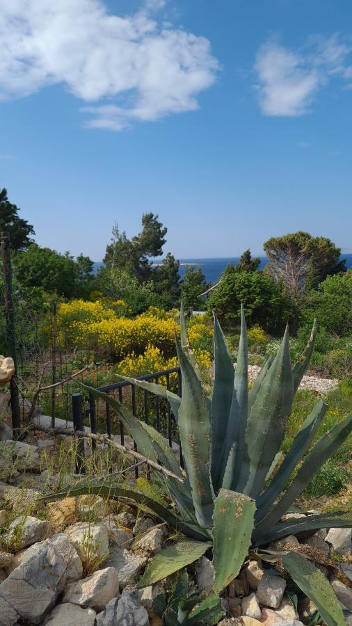 Studio Apartman Stara Baška Esterno foto